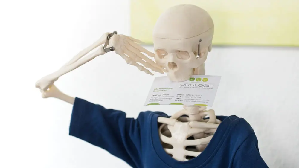 240822__X220873 Skelett zur Anschauung in der Urologie Cascetta