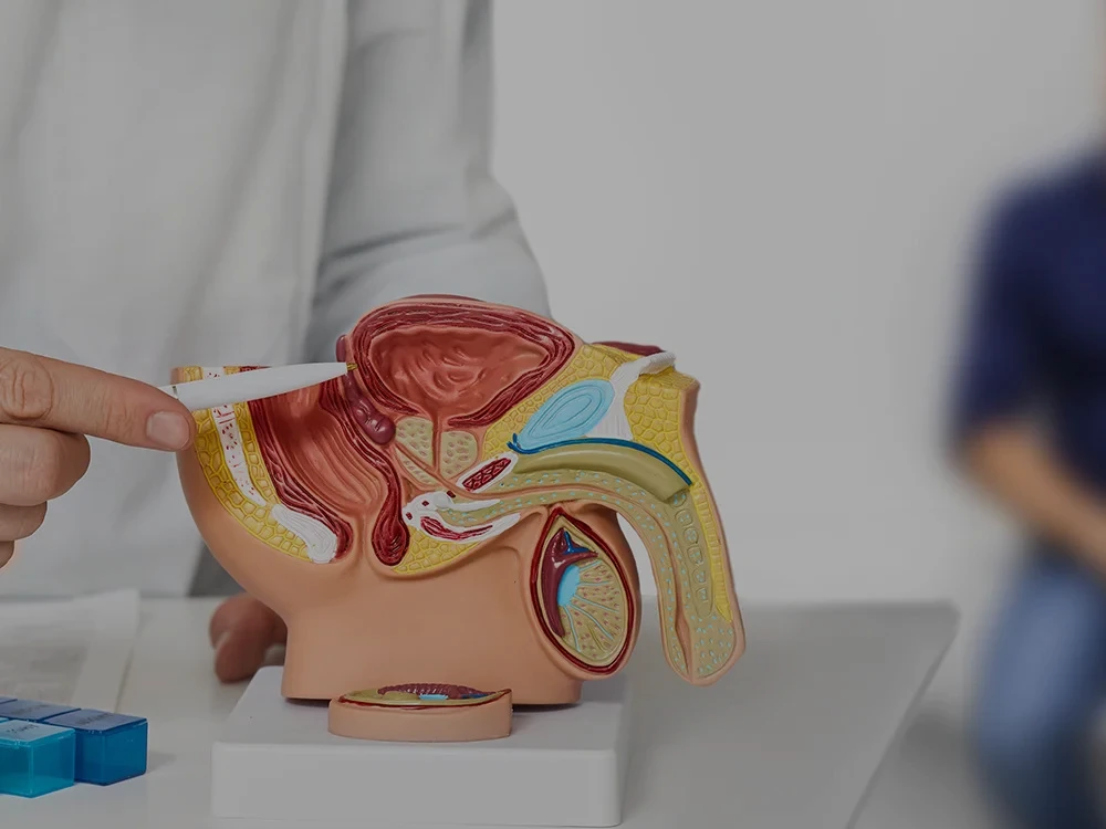 Prostatavergrößerung Behandlung